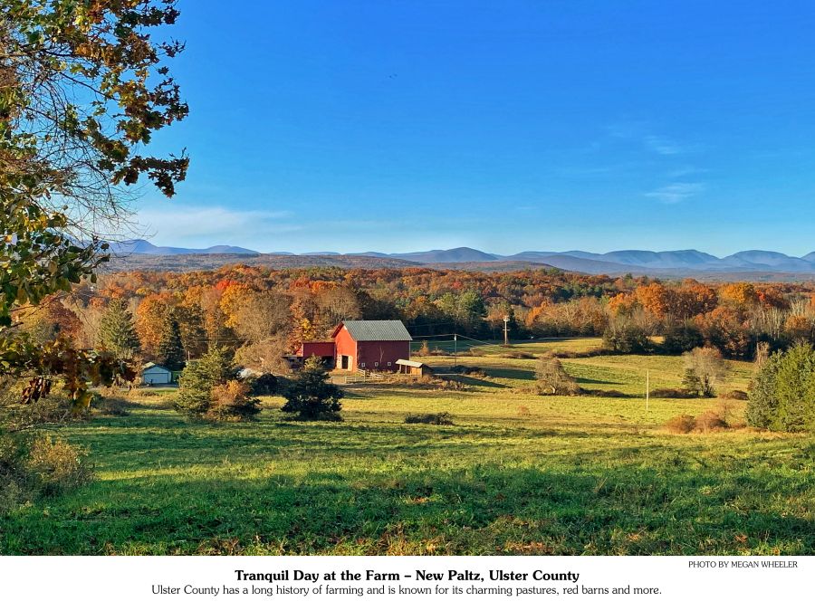 HOPE for Youth Calendar November - Tranquil Day at the Farm.