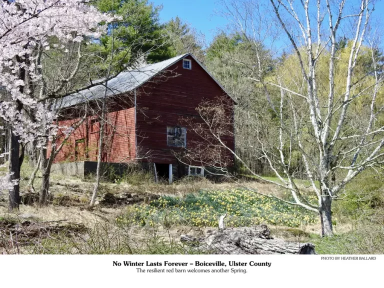Appreciation page picture | an old red barn.