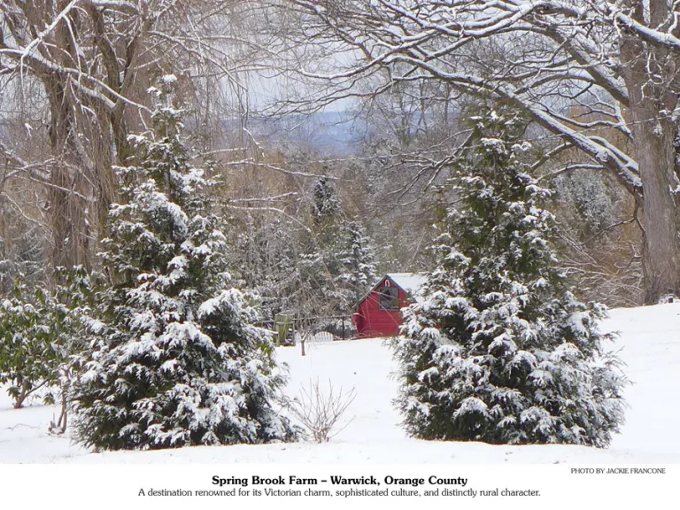 December 2026 calendar picture | 2 evergreens covered with snow.