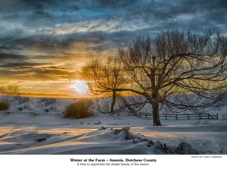 January 2026 calendar picture | sunset over s snow covered field.